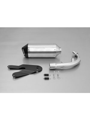 SPORTEXHAUST, complete system without cat., stainless steel, SPORT (no EEC), 55 mm